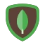MongoDB